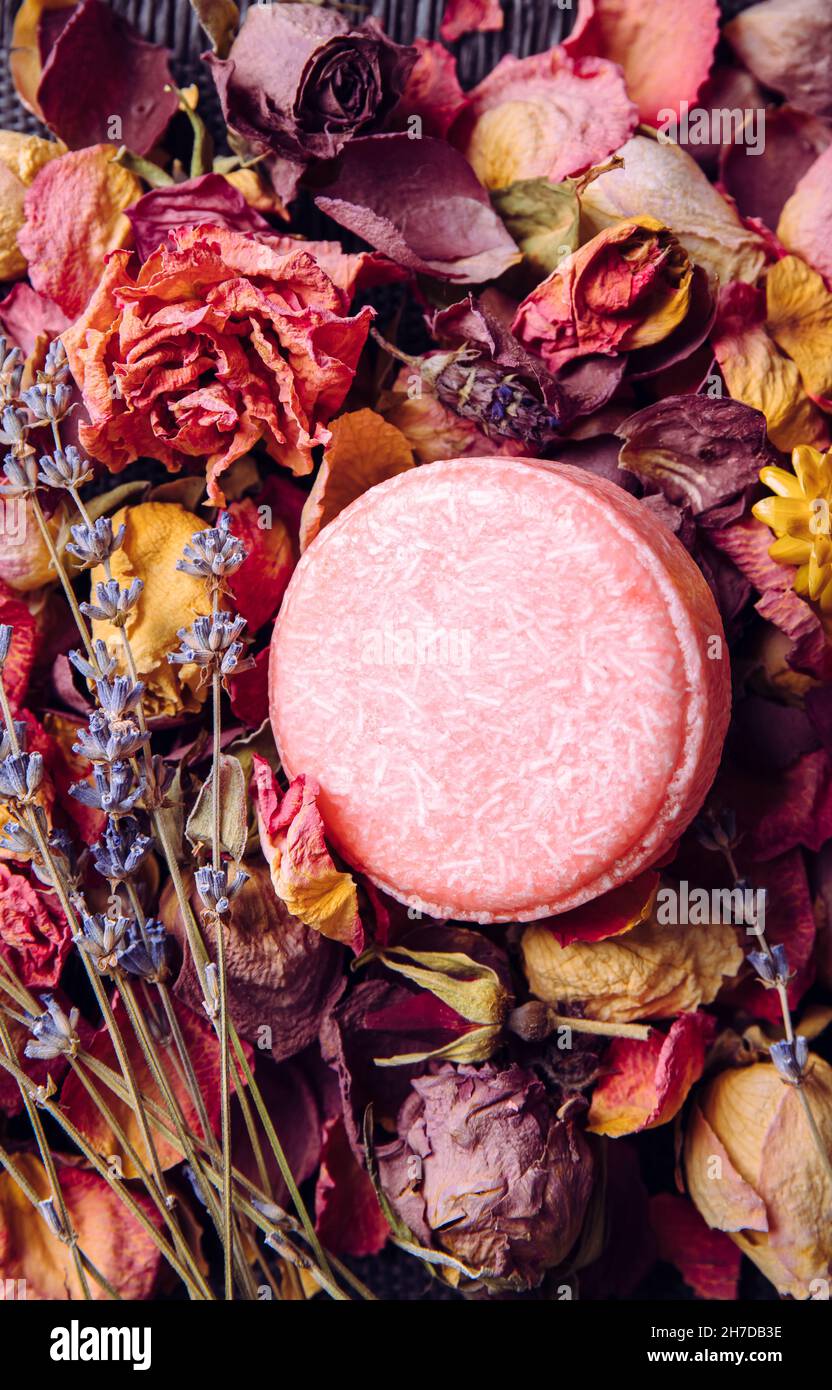 Pink color solid shampoo, conditioner bar on various dried flower petals, rose, lavender. Romantic vintage beauty set indoors. Stock Photo