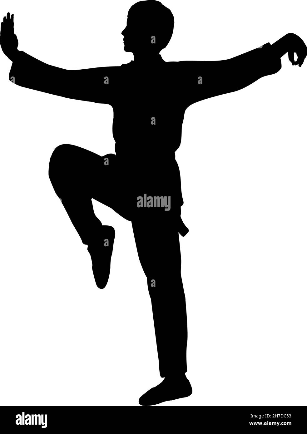 Silhouette of man train martial arts crane pose. Stock Vector