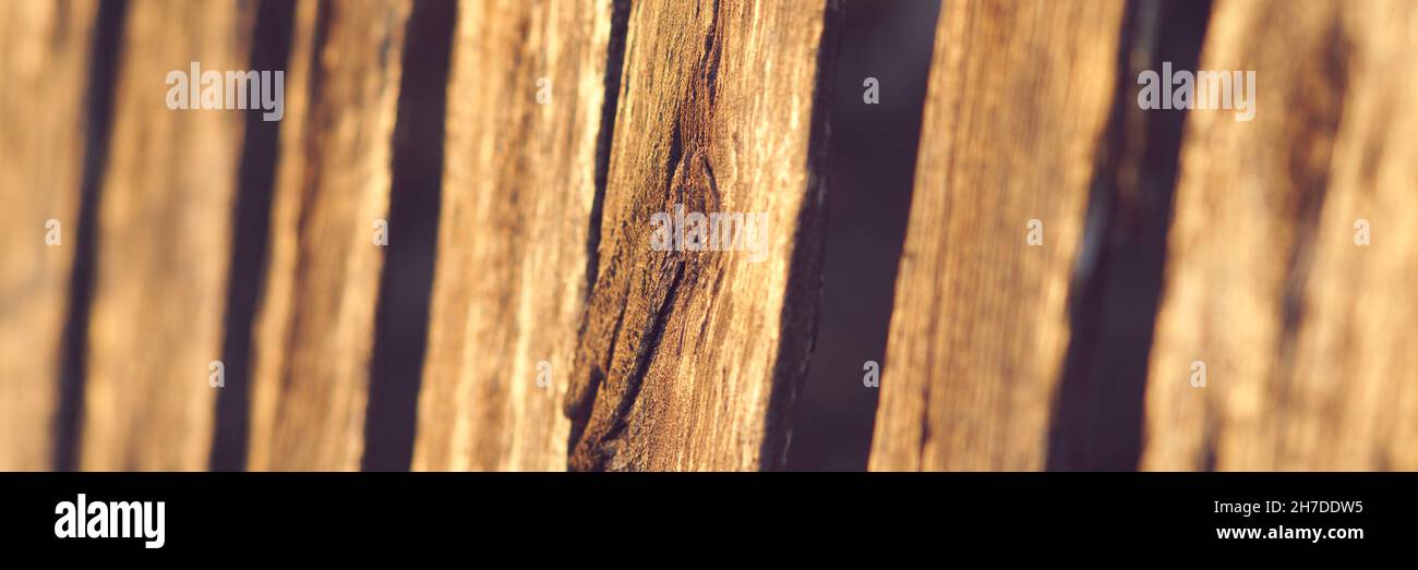 Abandoned old picket fence in rural garden Stock Photo - Alamy