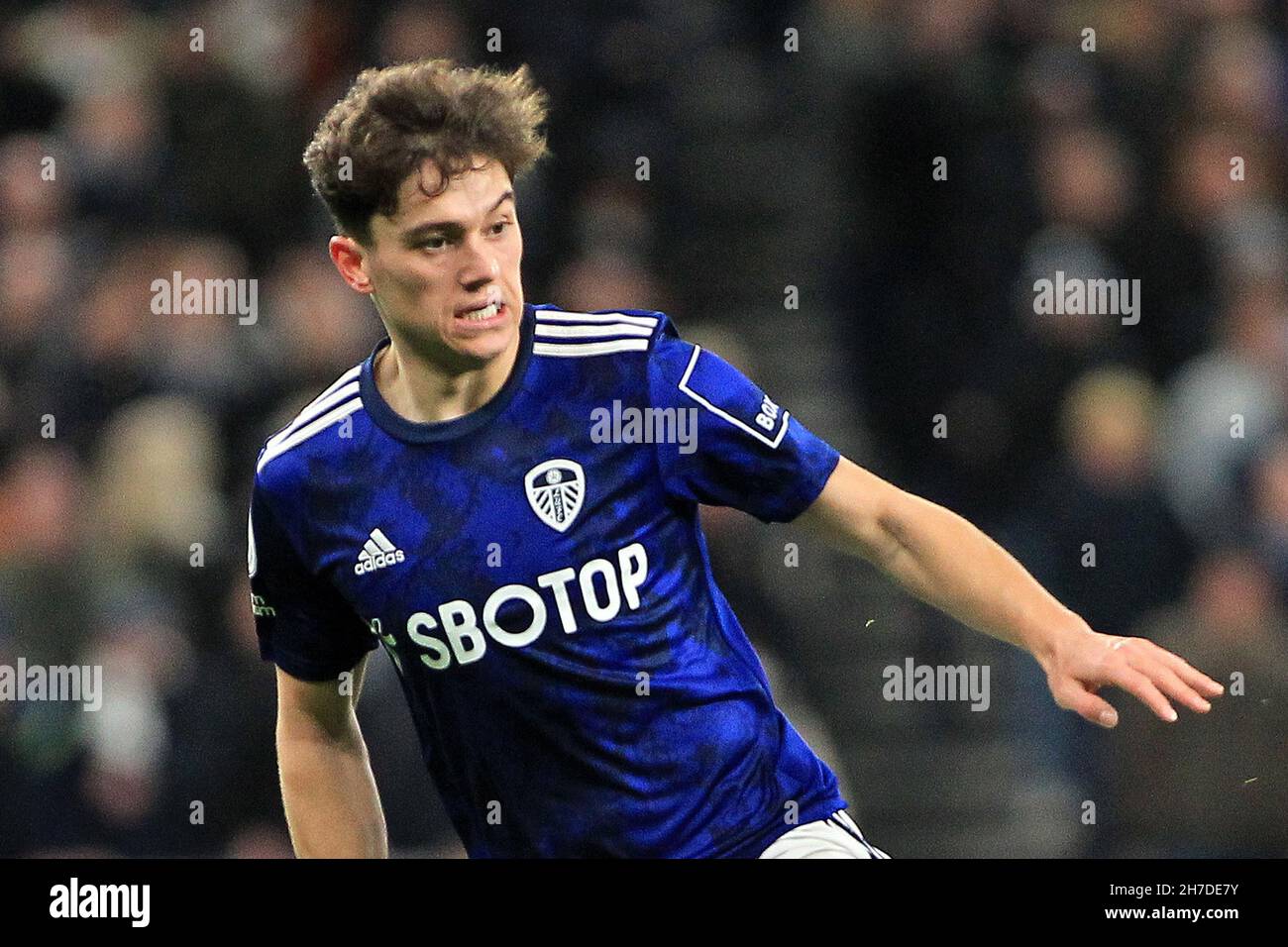 Soccer - FA Carling Premiership - Tottenham Hotspur v Leeds United.  Mauricio Taricco, Tottenham Hotspur Stock Photo - Alamy