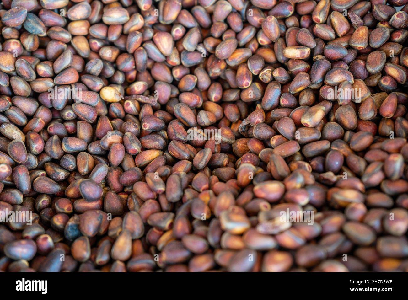 Natural background with pine nuts close up. Stock Photo