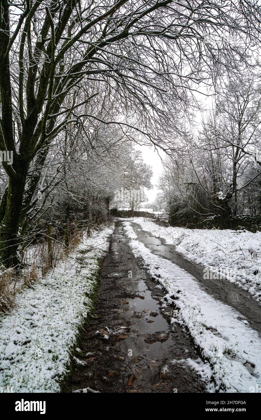 wet muddy lane in winter.light snow and fog Stock Photo