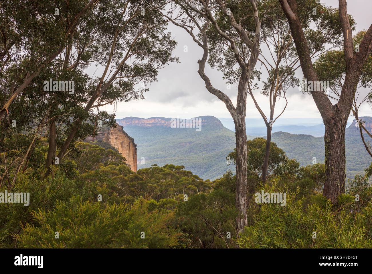 Scenic view at the Blue Mountains in NSW, Australia. Stock Photo