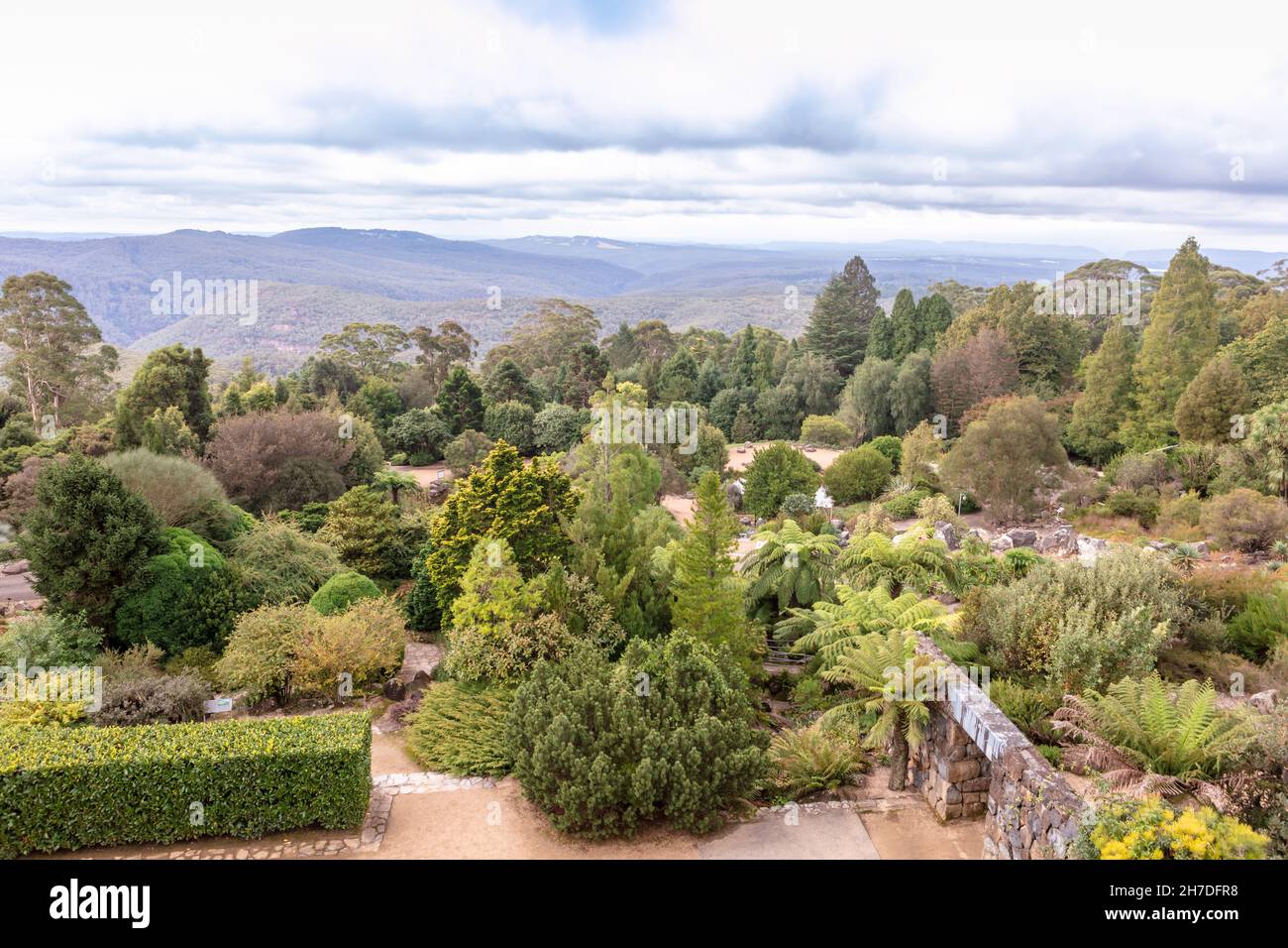 Scenic view at the Blue Mountains Botanic Gardens located at Mount Tomah, New South Wales, Australia. Stock Photo