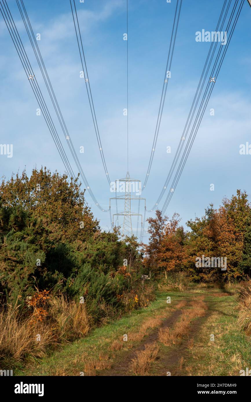 Large electricity pylon over a dirt track with autumn colours on a sunny day with blue sky background. Stock Photo