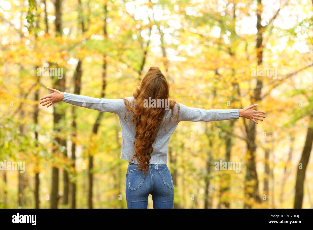 Back view of an excited woman outstretching arms standing in a forest ...