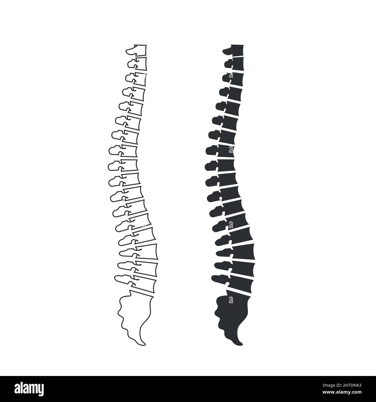 Vector human spine isolated silhouette illustration. Spine pain medical Stock Vector