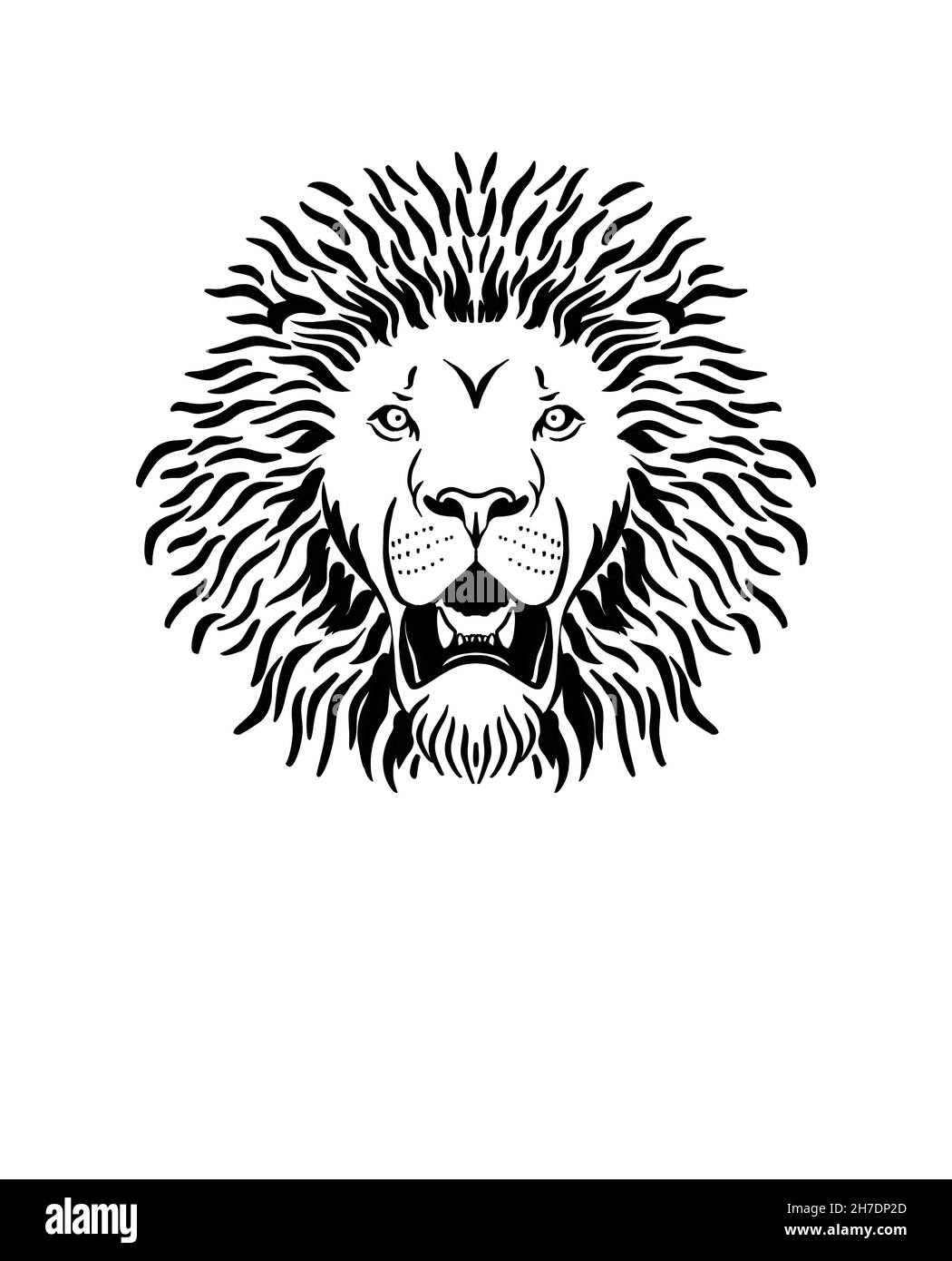 Lion face drawing. Lion on a white background. Big cat. Portrait of lion.  Lion icon Stock Photo - Alamy