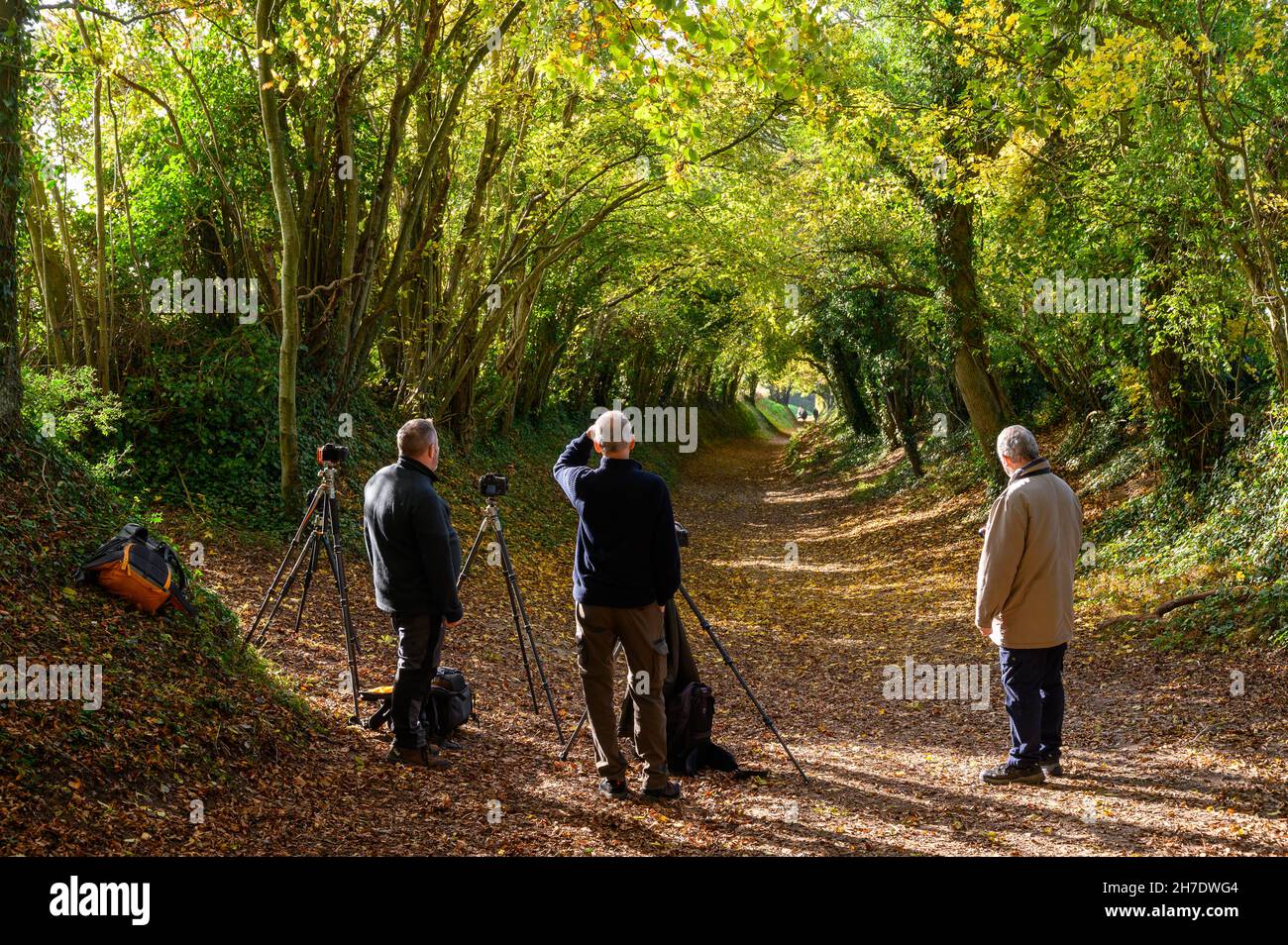 Photographers with rigged tripods and cameras waiting for the right
