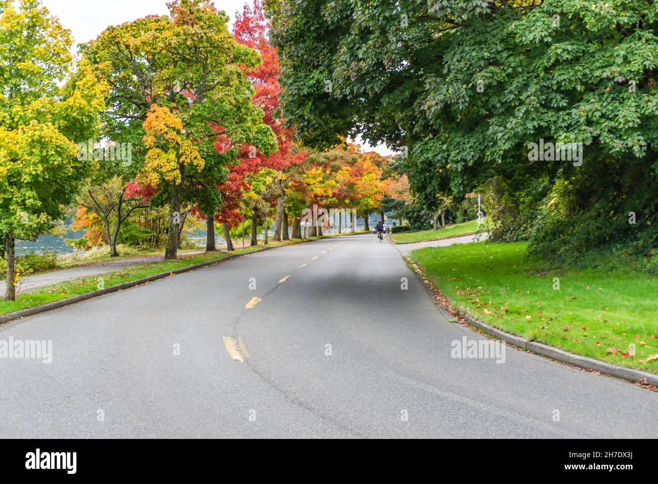 Very colorful autumn trees along the shore of Lake Washington in ...