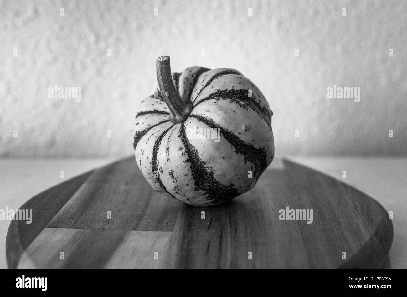 a single mini green and white decorative pumpkin displayed on a wooden chopping board monochrome Stock Photo