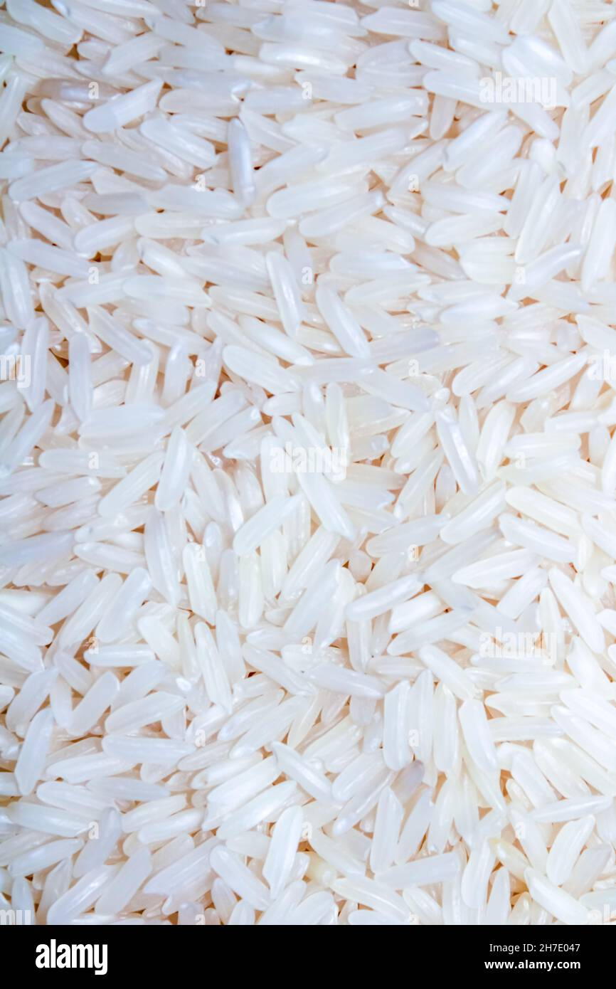 A bed of white rice Stock Photo Alamy