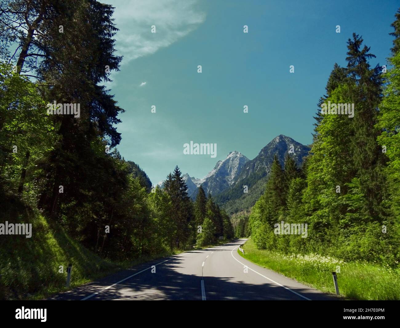 Curvy asphalted road ahead through dark green summer forest in south Sweden in July Stock Photo