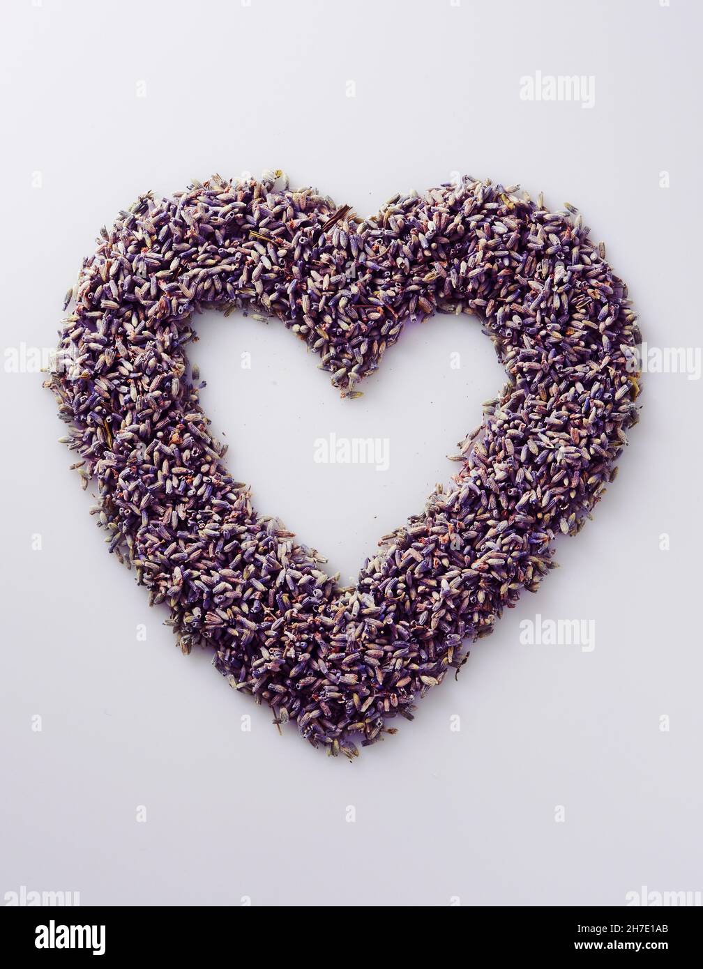 A heart made of lavender flowers Stock Photo