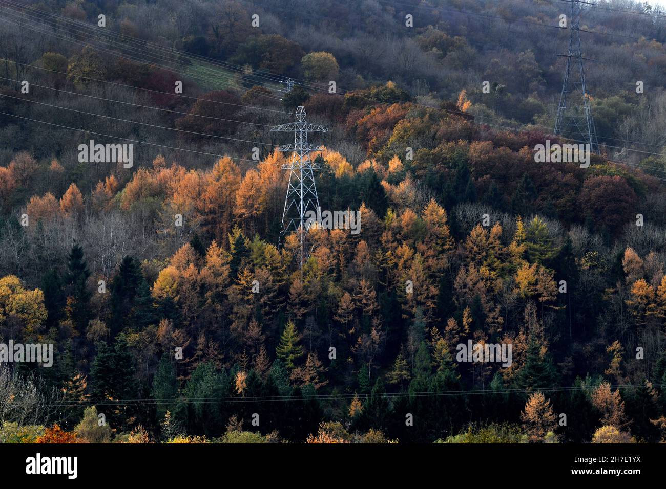 Electricity pylons and cables amongst woodland trees in Autumn, Britain, Uk Stock Photo