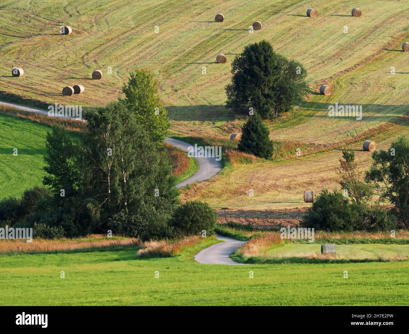Typical czech landscape after harvest, Šumava mountains, Czech Republic Stock Photo