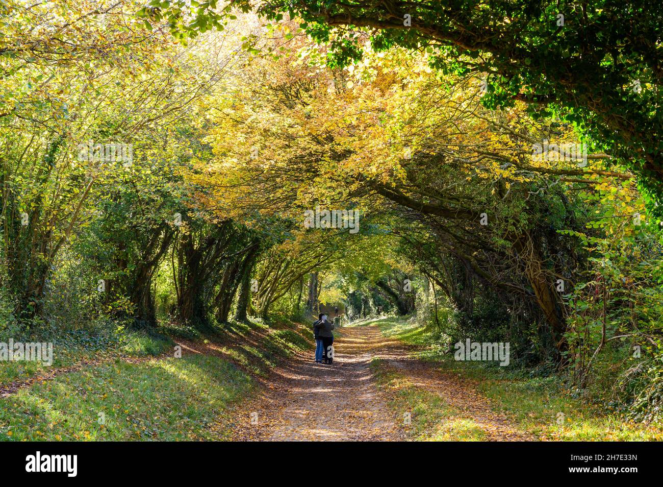 A young couple standing on the path through the Halnaker tree tunnel in