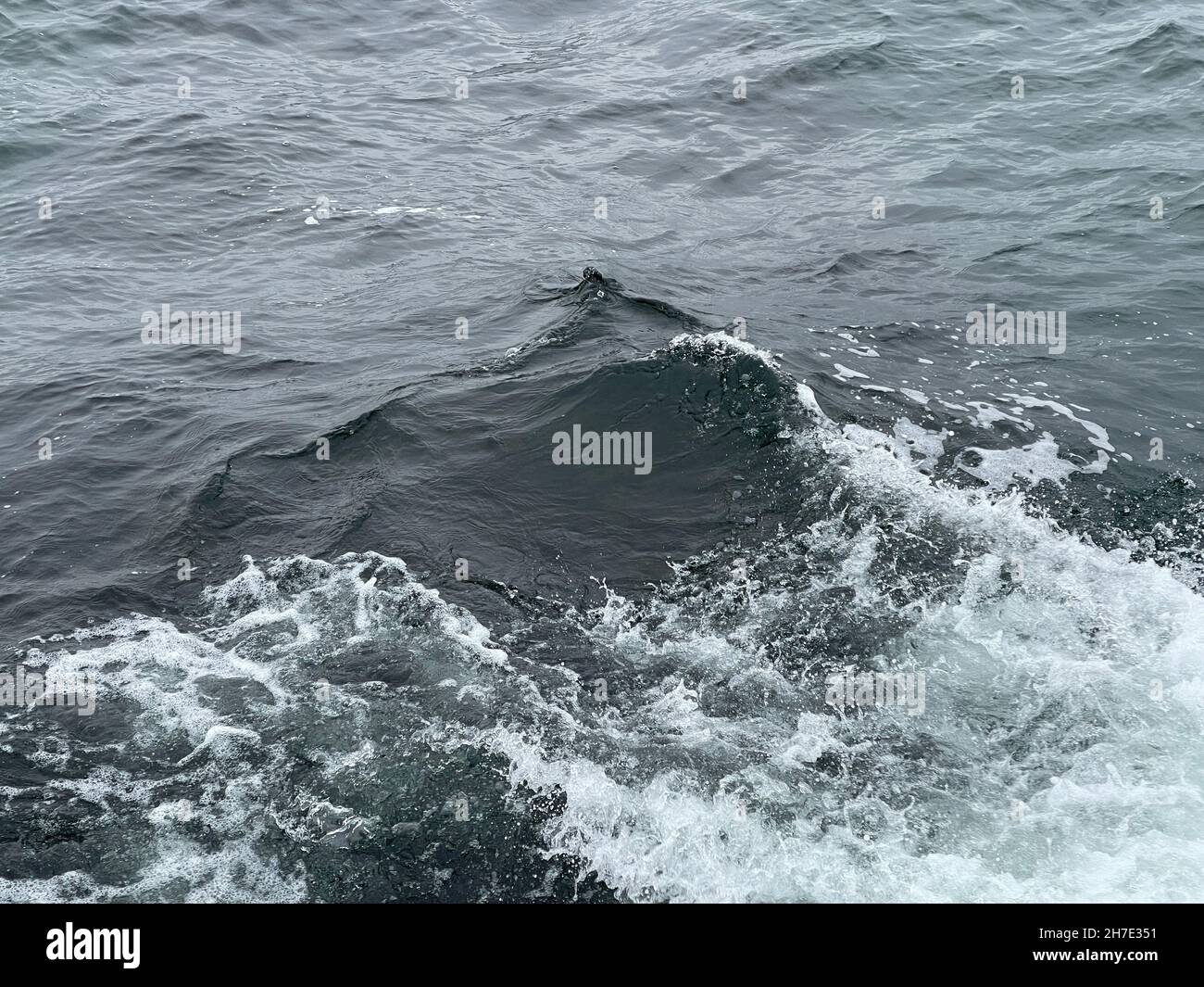 Waves in the ocean, copy space Stock Photo - Alamy
