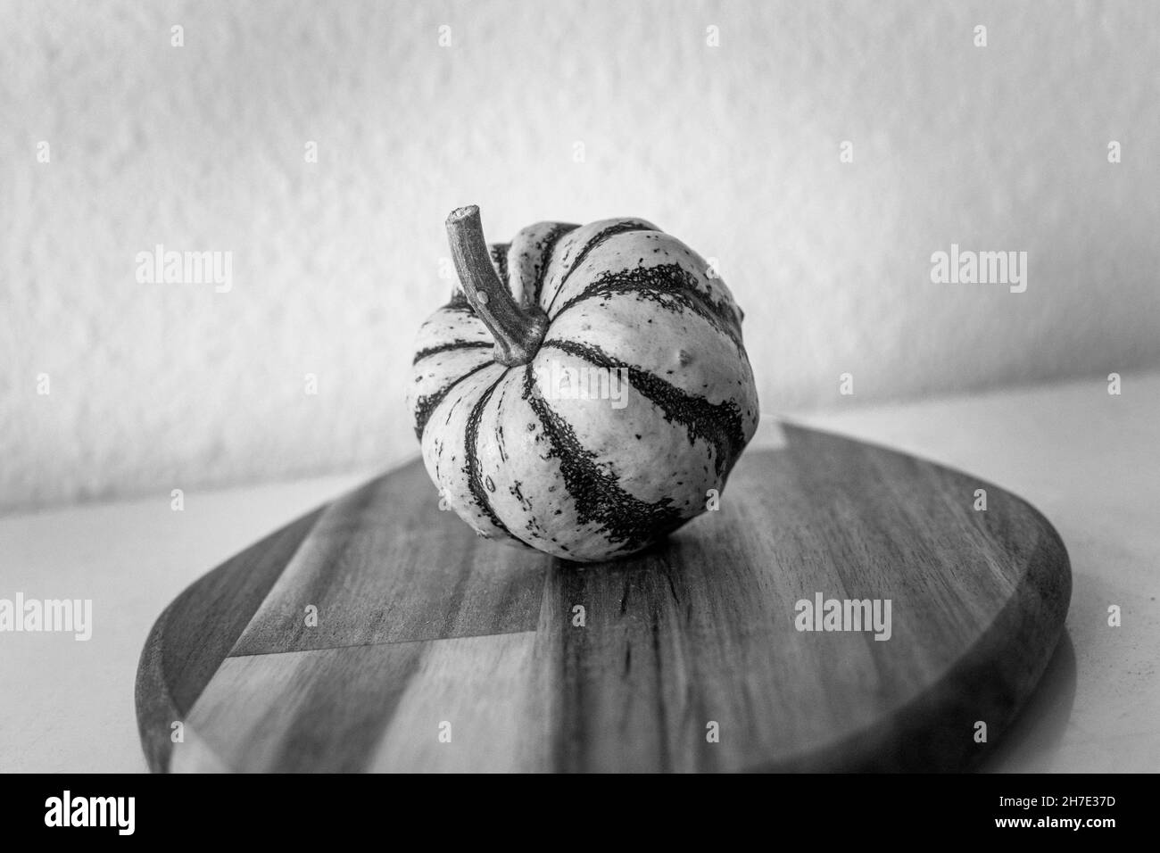 a cream and green mini pumpkin standing on a wooden chopping board monochrome Stock Photo