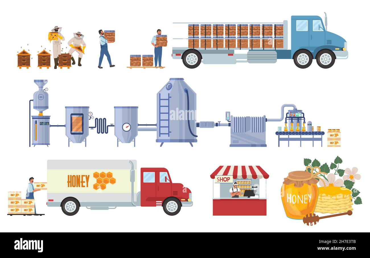 Honey production vector infographic. Harvest. Factory processing line