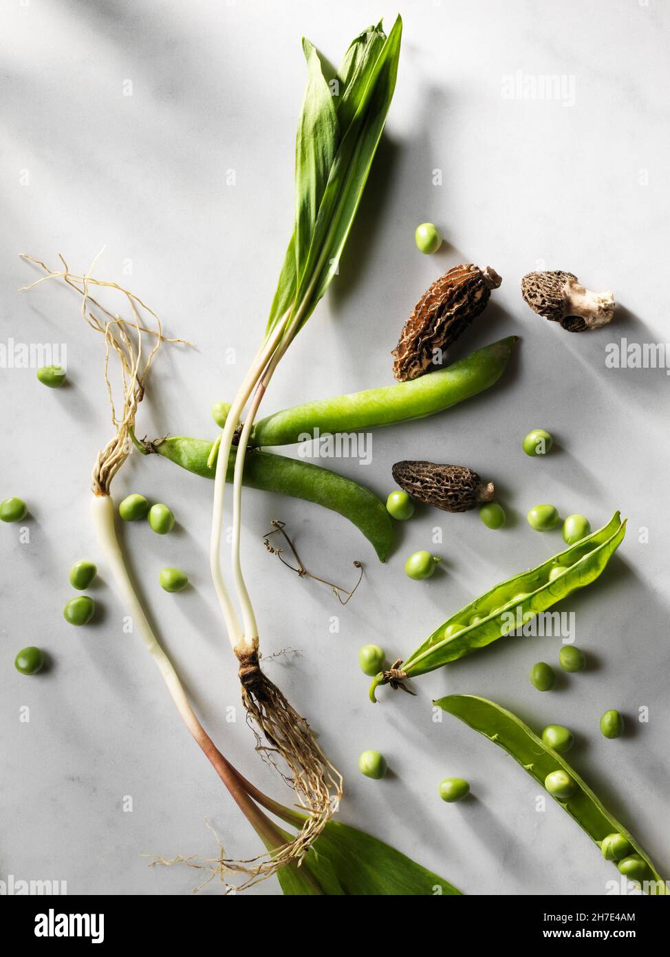 Ramps vegetable hires stock photography and images Alamy