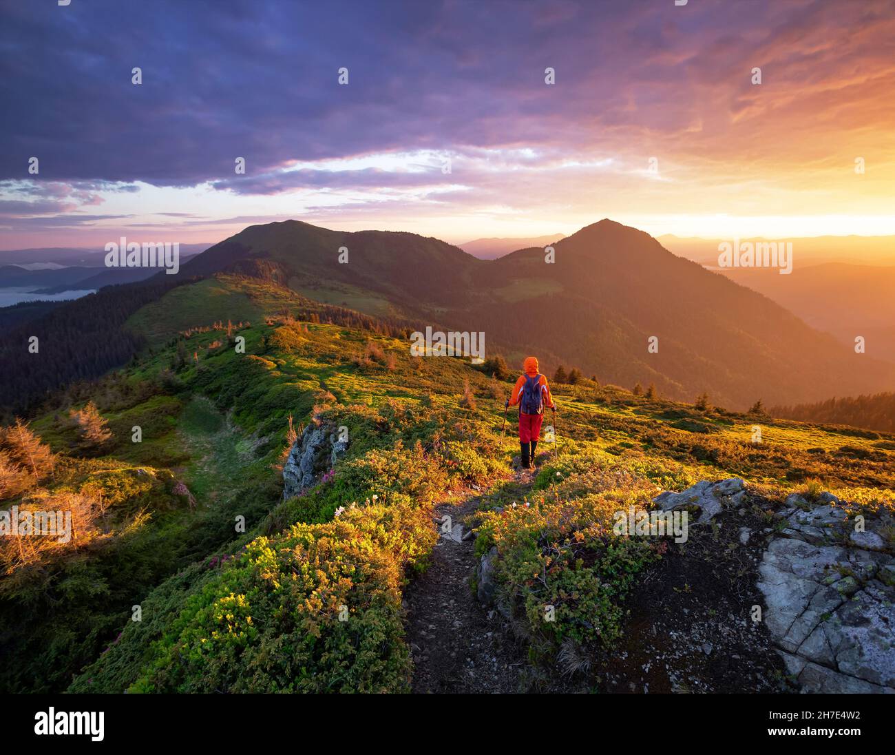 Beautiful sunrise on the autumn morning. Landscape with high mountains. Successful tourist is standing at the path in orange jacket. The lawn with ora Stock Photo