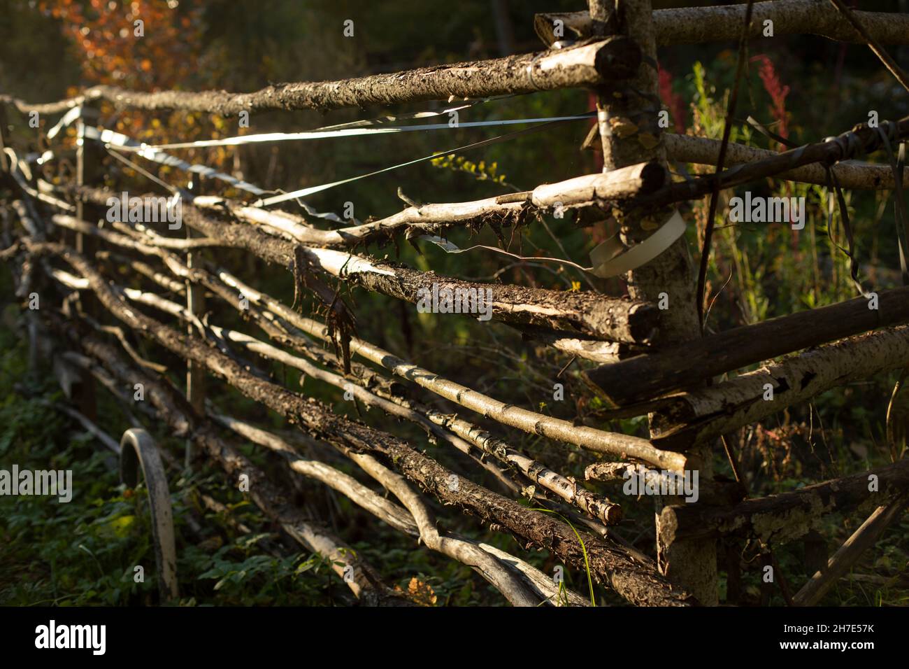 Hedge of branches. Homemade fence in the garden. Details of rural architecture. Braided bars. Stock Photo