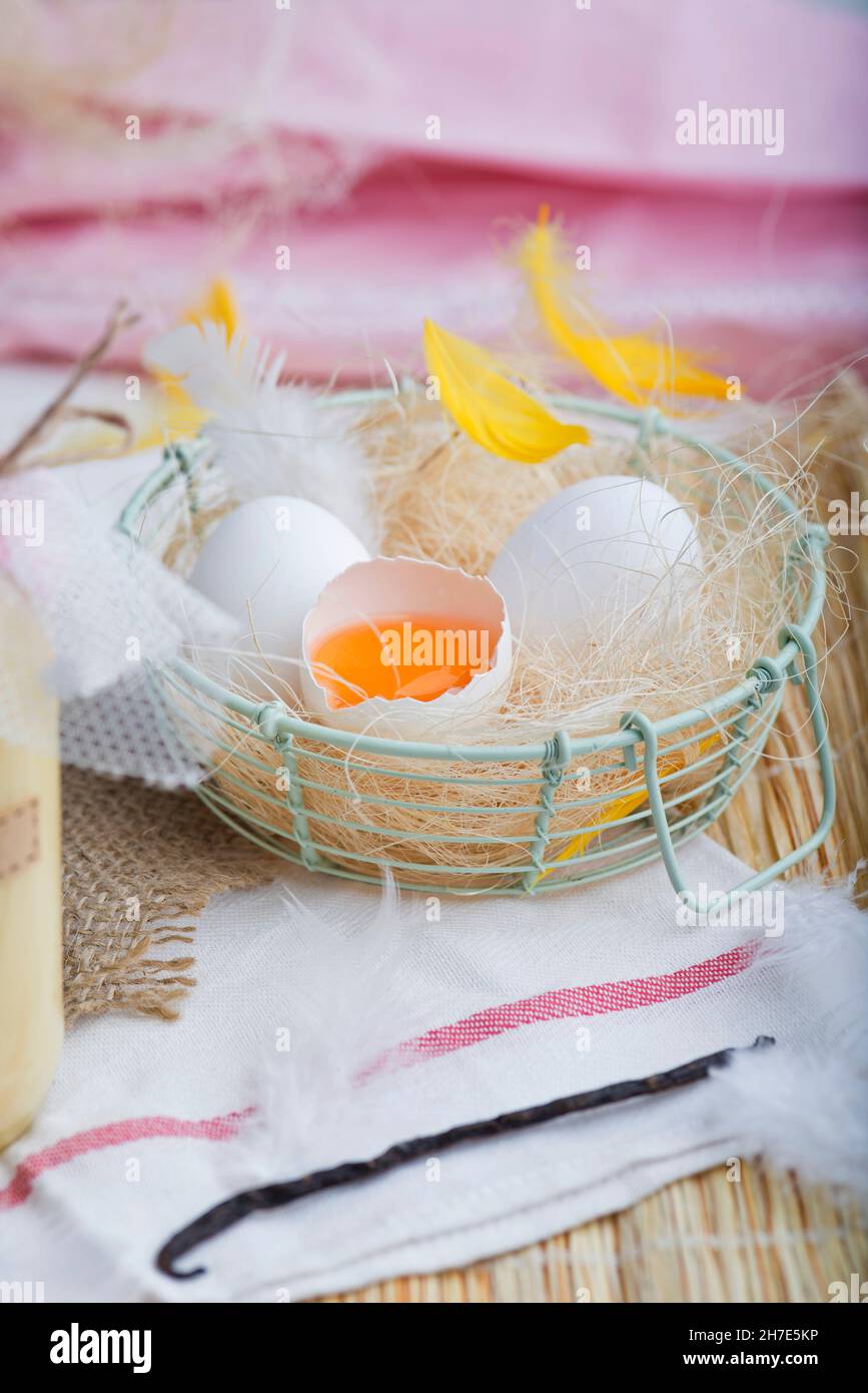Fresh eggs with feathers in a wire basket Stock Photo