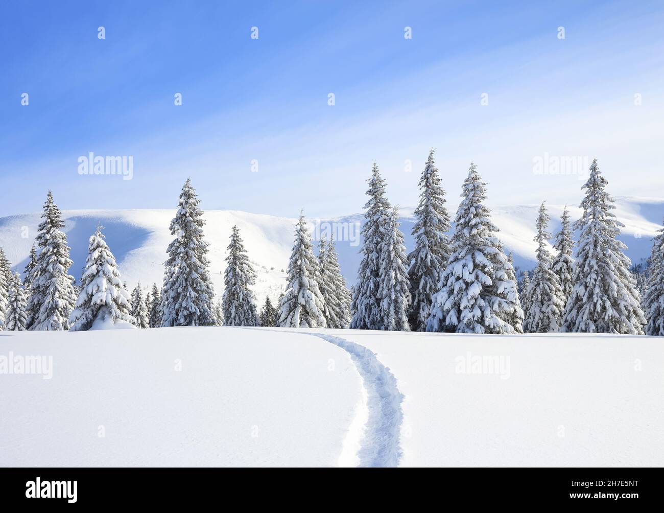 A panoramic winter view. Landscape of high mountain with snow white