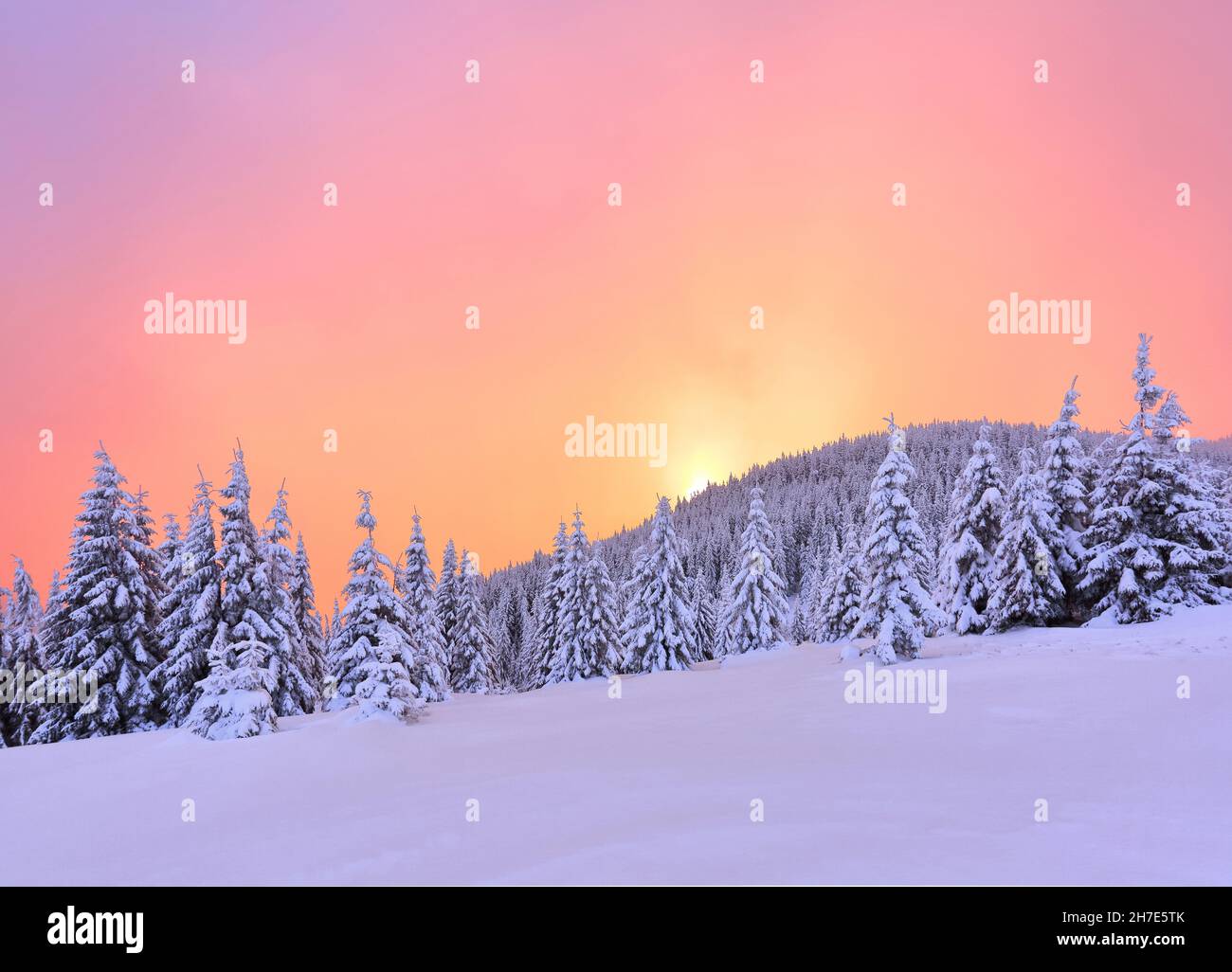 Winter. Amazing sunrise. High mountains with snow white peaks. A panoramic view of the covered with frost trees in the snowdrifts. Natural landscape w Stock Photo