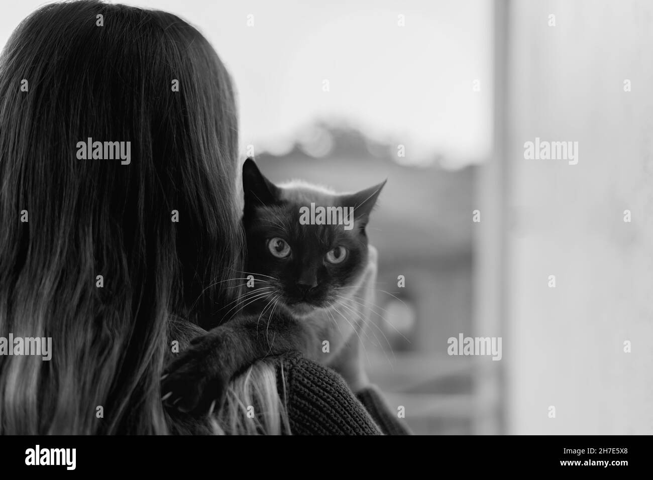 Woman holding siamese cat on balcony at home.Black and white photography. Stock Photo