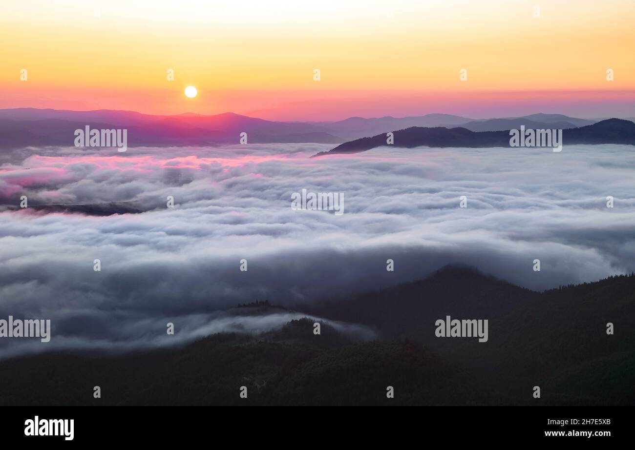Landscape with high mountains. Fields and meados are covered with morning fog and dew. Sunrise. Forest of the pine trees. The early morning mist. Tour Stock Photo