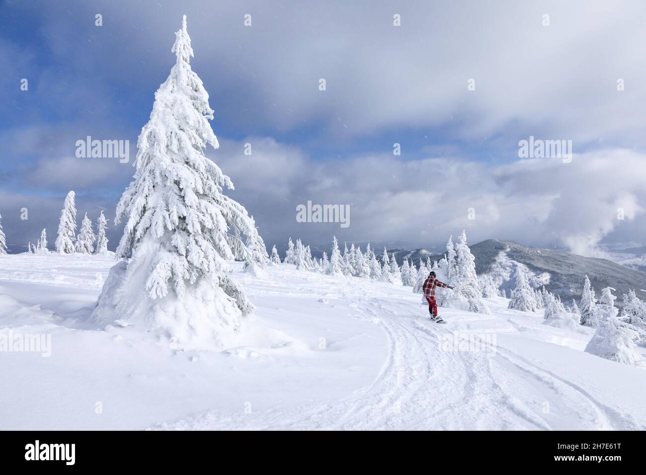 Snowboarders and skier ride through the wild forest on a beautiful cold winter day. Landscape of high mountains with snow. Wallpaper background. Locat Stock Photo