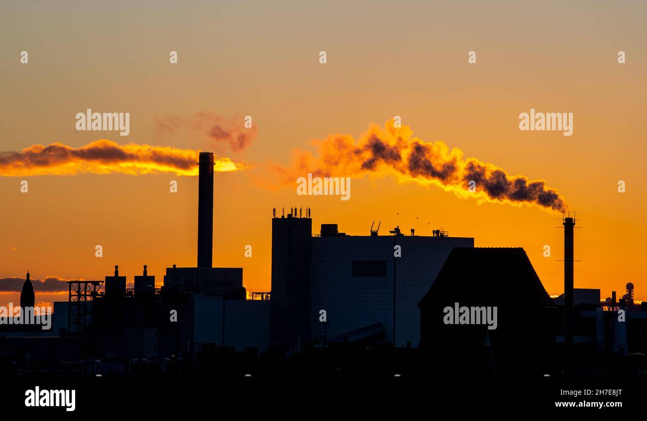 Berlin, Germany. 22nd Nov, 2021. Clouds of smoke rise from a chimney. The setting sun makes the clouds and smoke glow orange. Credit: Philipp Znidar/dpa/Alamy Live News Stock Photo
