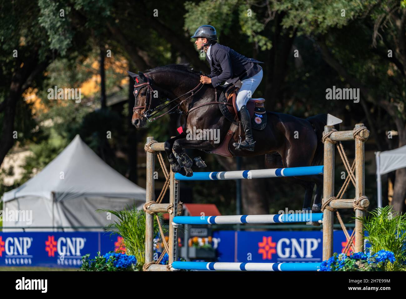 Monterrey Mexico Equestrian Venue for the Major League Show Jumping
