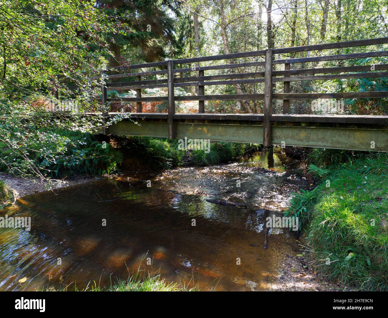 Footbridge over stream along a footpath through the woods, Bolderwood, The New Forest, Hampshire, UK Stock Photo