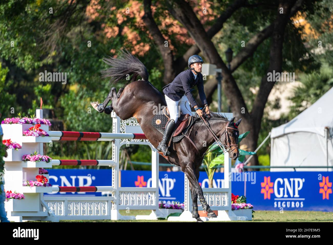 Monterrey Mexico Equestrian Venue for the Major League Show Jumping