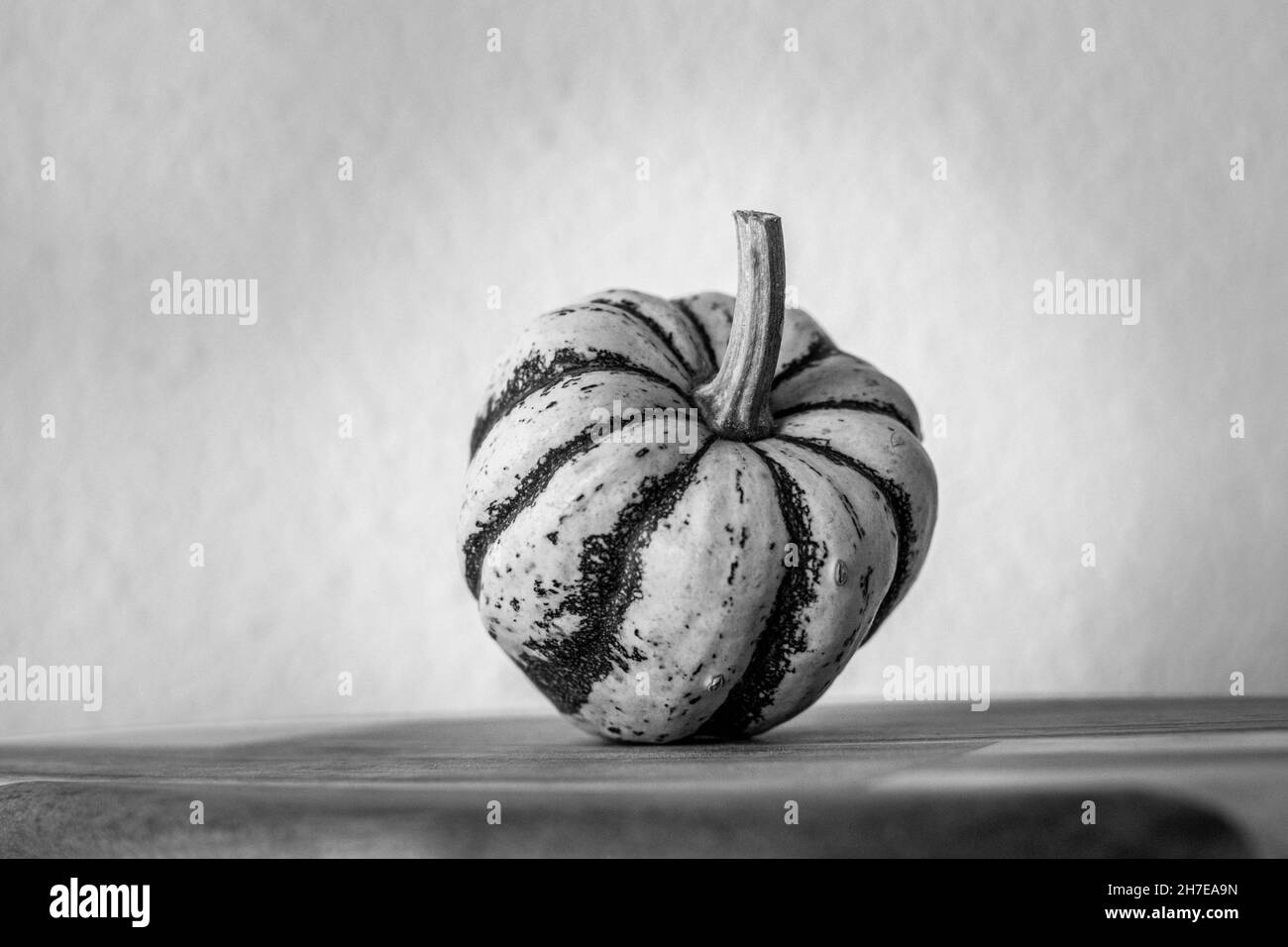 a cream and green mini pumpkin standing up on a wooden chopping board monochrome Stock Photo