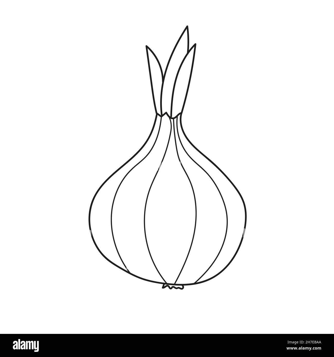 Simple coloring page. Onion - line art. Coloring book for kids. Vegetables  Stock Vector Image & Art - Alamy