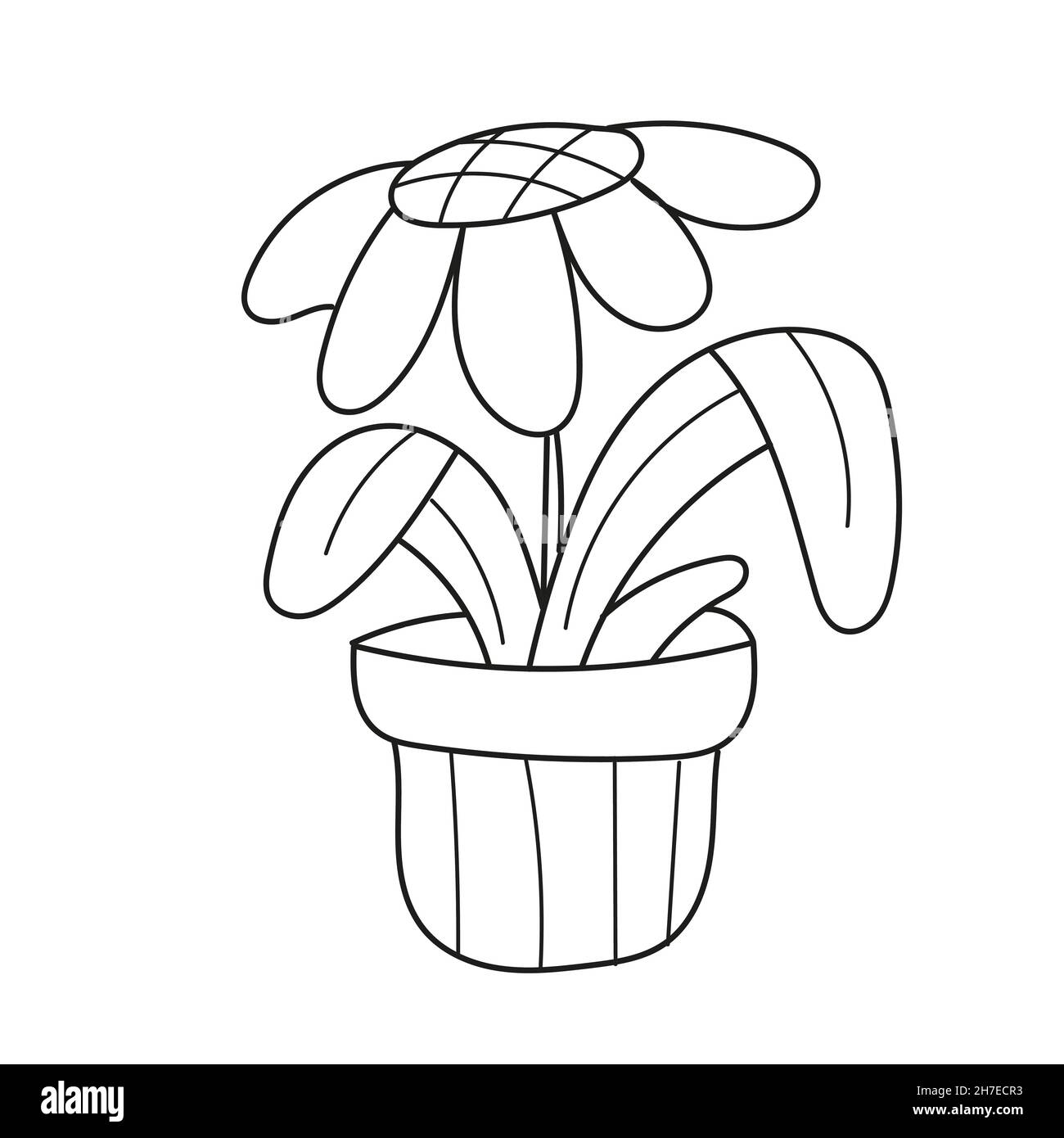Simple coloring page. Cute Daisy Flower plant, hand drawn stock vector ...