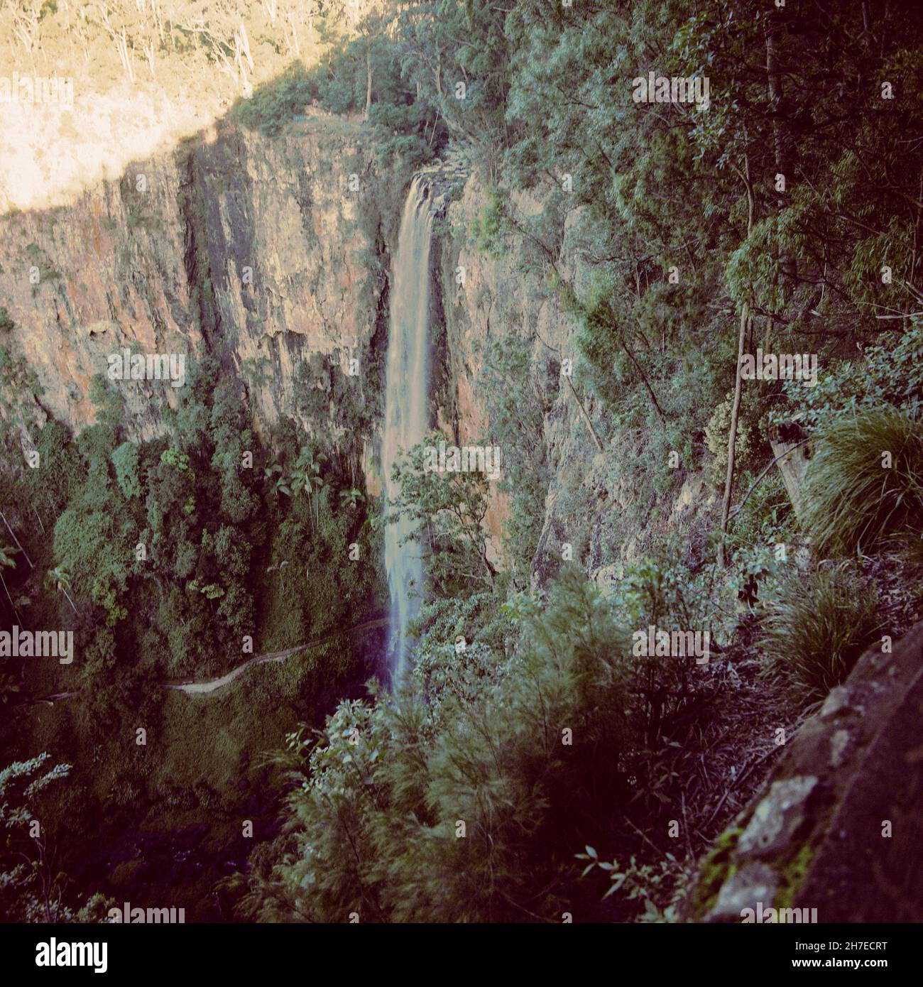 Purling Brook Falls, Springbrook National Park ,Gold Coast, Queensland, Australia. Stock Photo