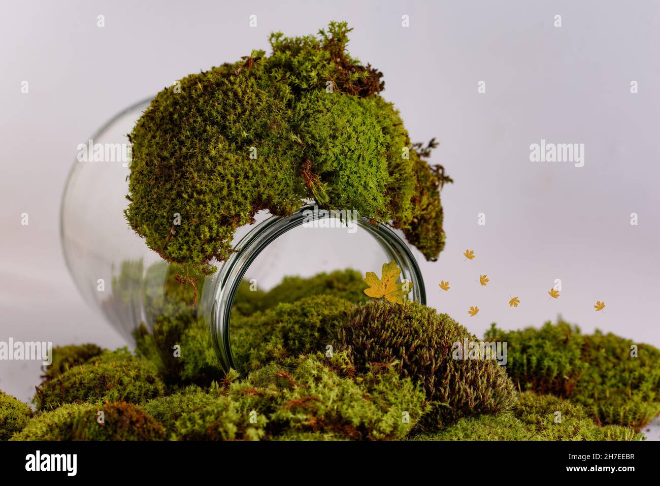 Garden scene in the terrarium in a glass bottle with dry leaves and