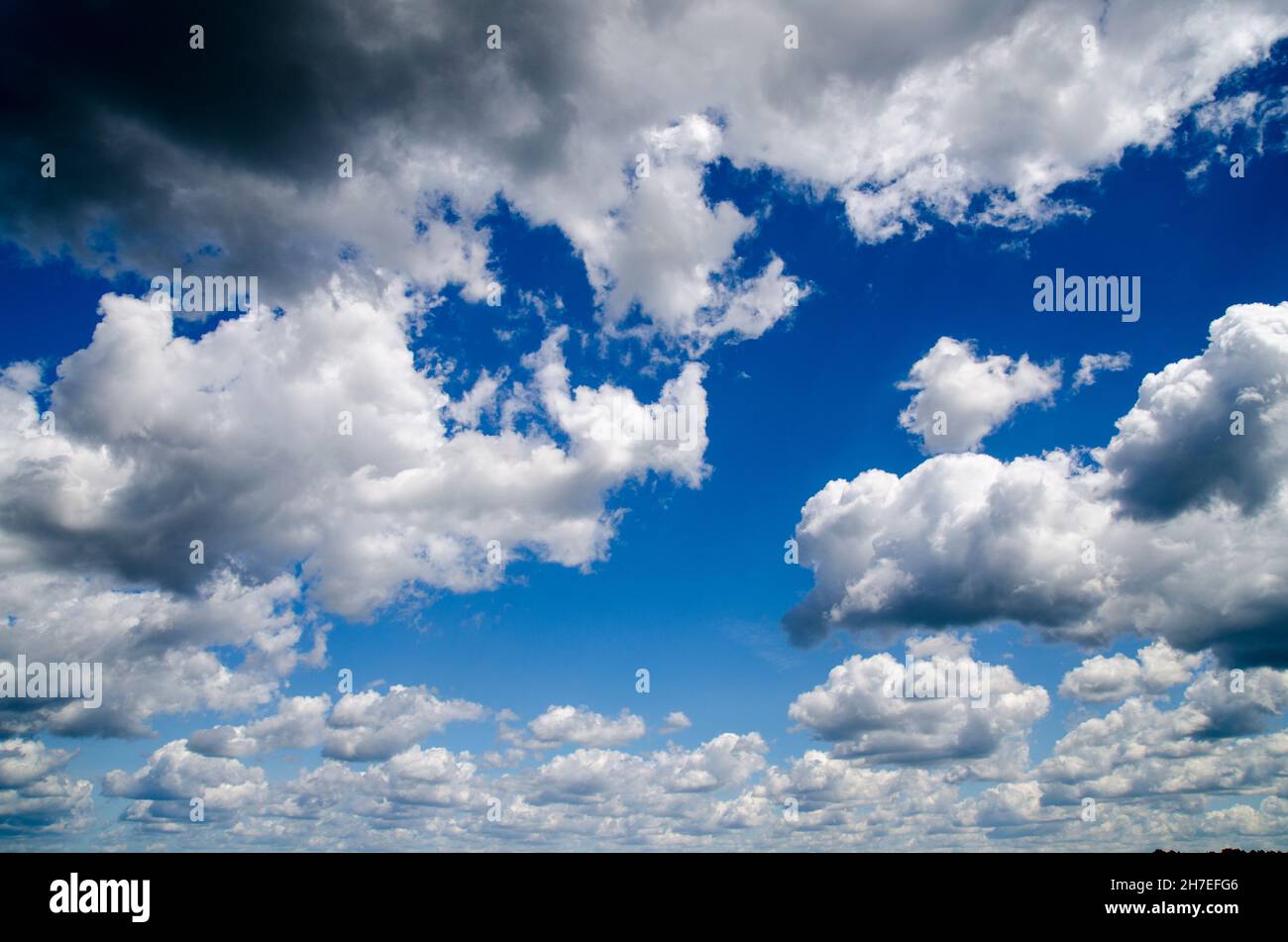 Weather background on sale