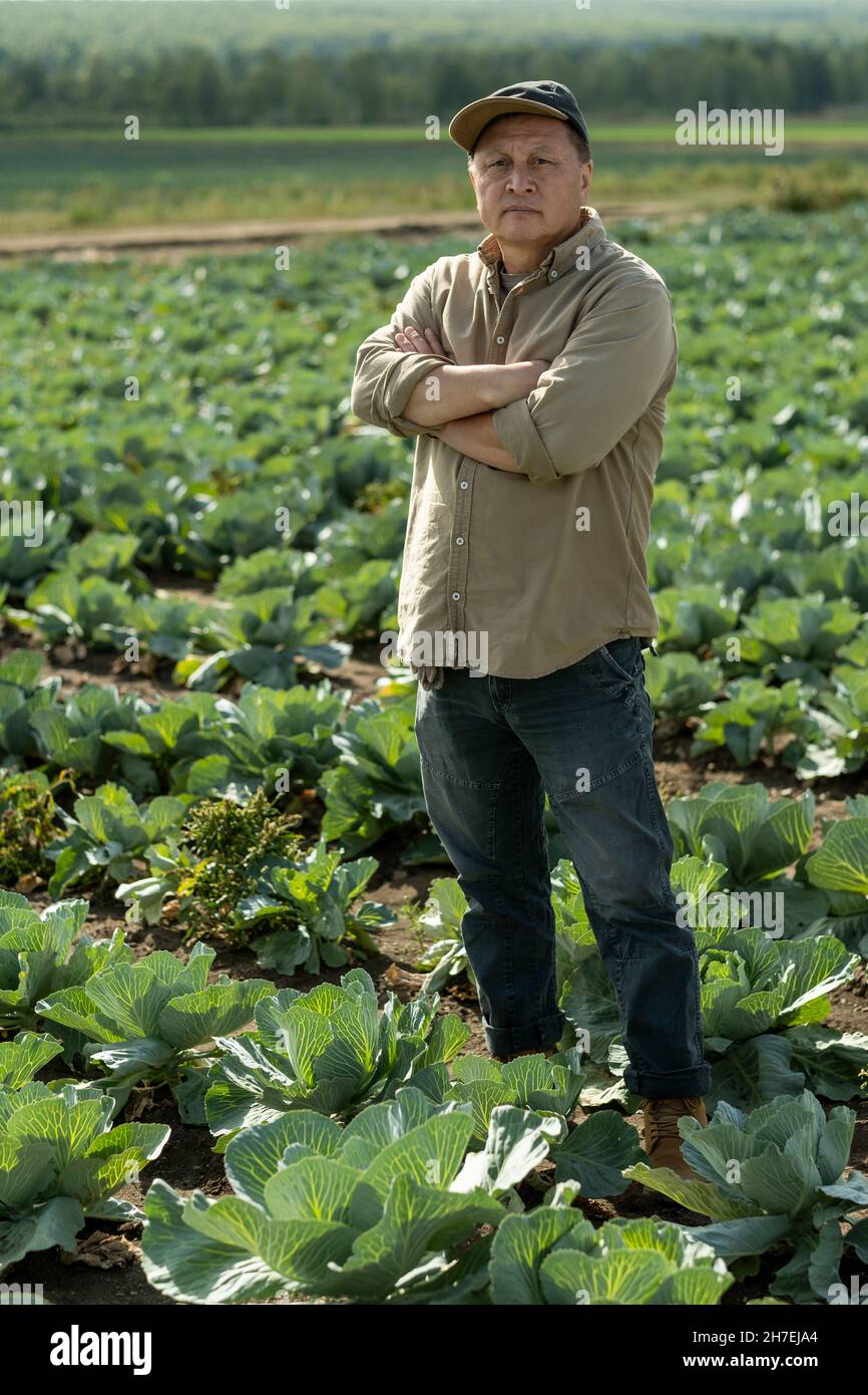 Portrait of serious confident aged Asian farmer in cap standing with crossed arms on cabbage field Stock Photo