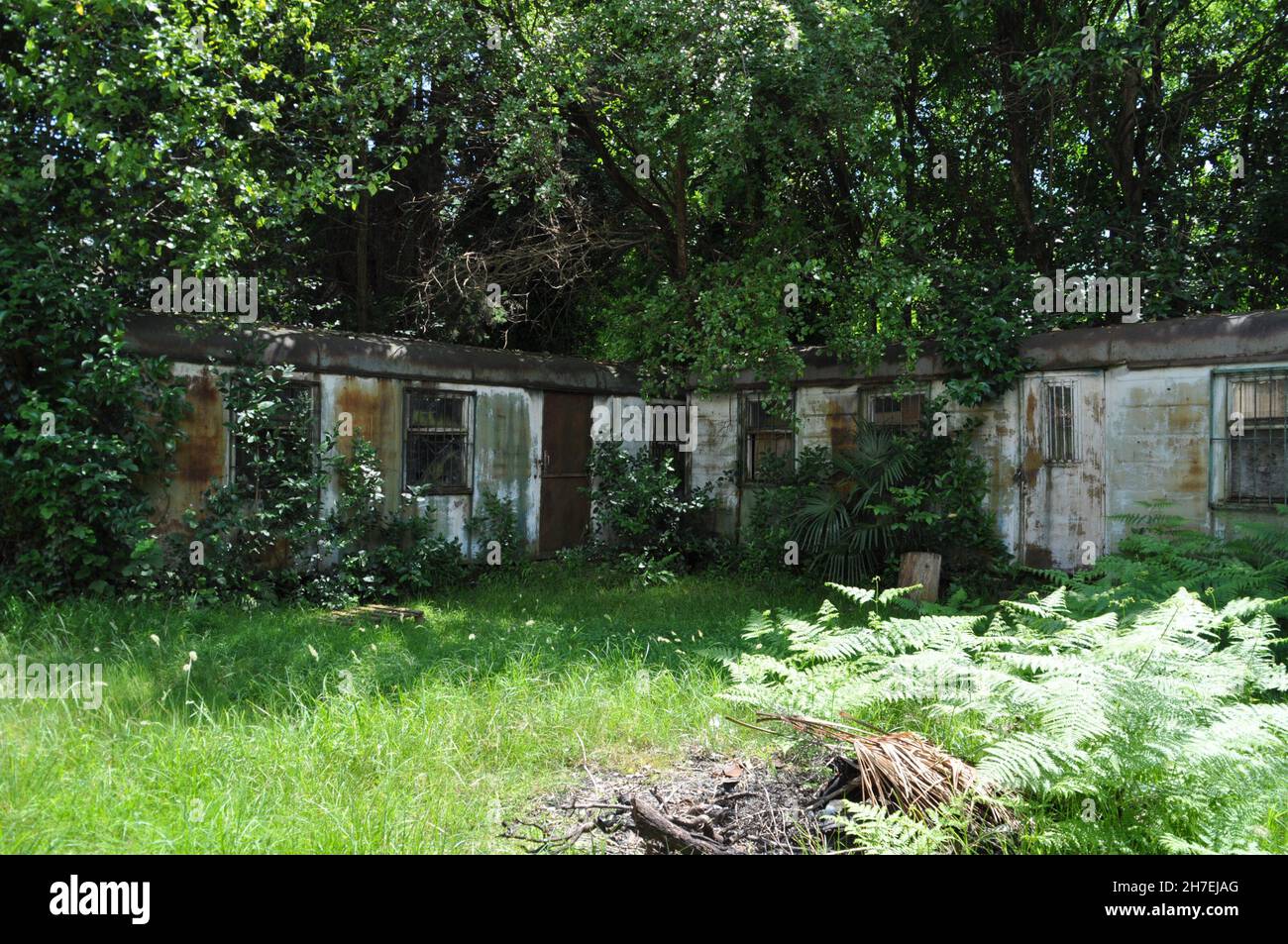 Abandoned train wagons now used as a shed in Sukhumi, capital of separatist state Abkhazia. Stock Photo