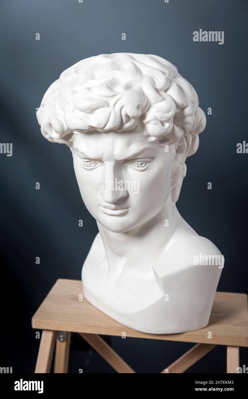 A plaster cast of David's head stand on a stool in a dark blue room Stock Photo Alamy