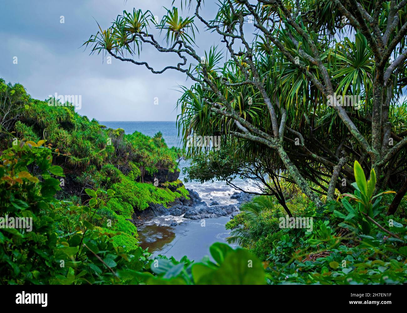 Palikea Stream running through volcanic rock into the ocean, Haleakala National Park, Maui, Hawaii Stock Photo