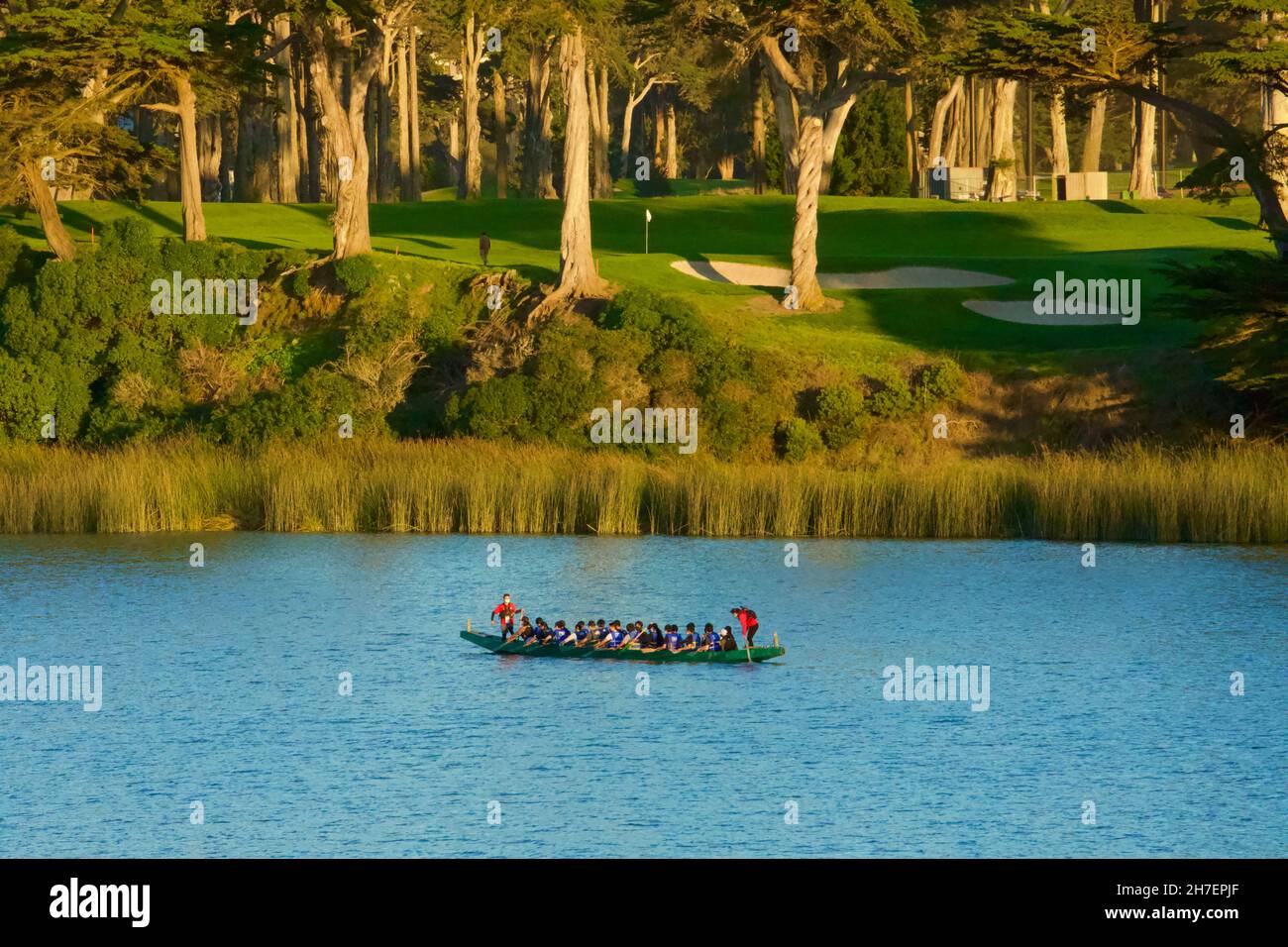 Dragon boat race boat on Lake Merced. Dragon boat differs from crew or oarlocked team racing boats as rowers paddle. San Francisco, California, USA. Stock Photo