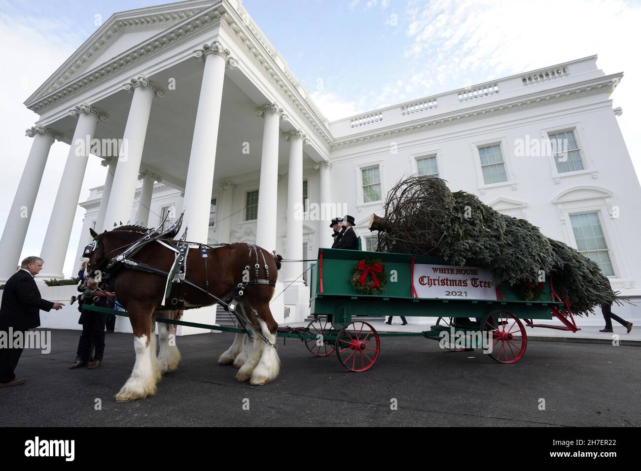 The official White House Christmas Tree is delivered in Washington on ...