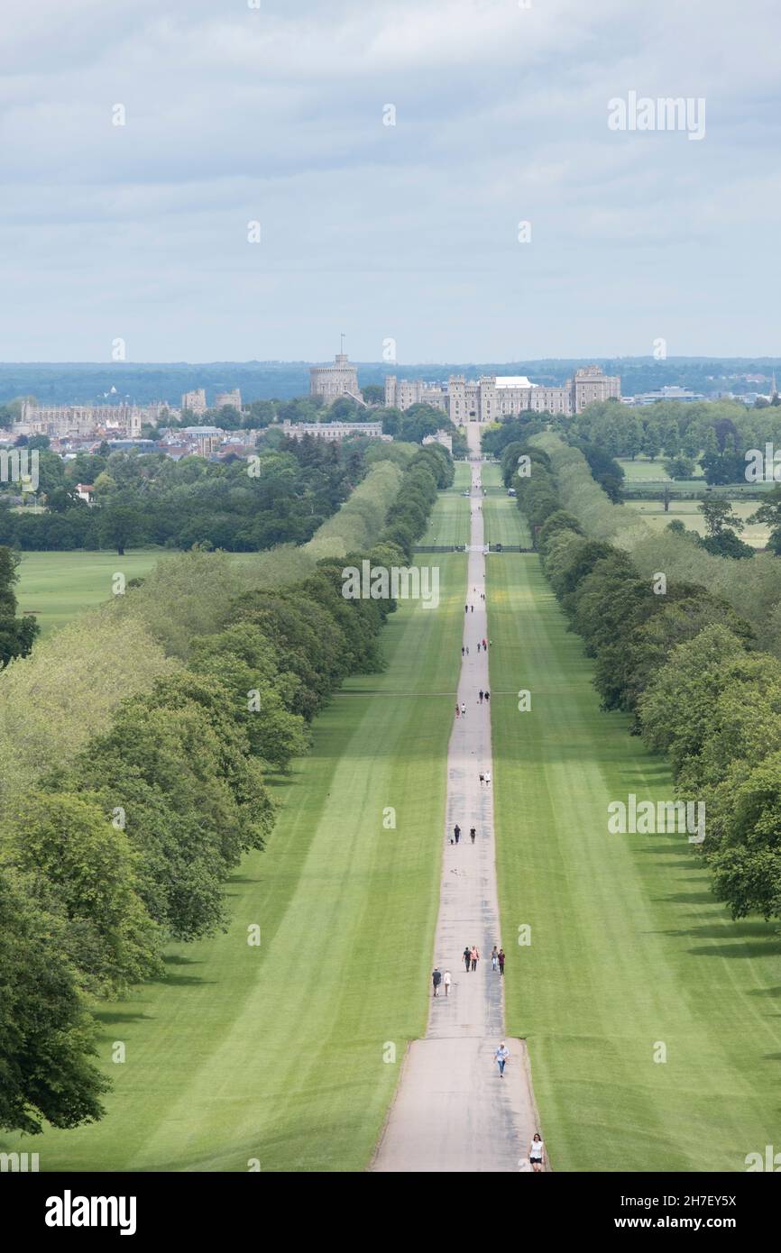 The Long Walk to Windsor Castle, WIndsor Park, Windsor, UK. Stock Photo